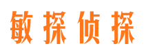 两当市私家侦探